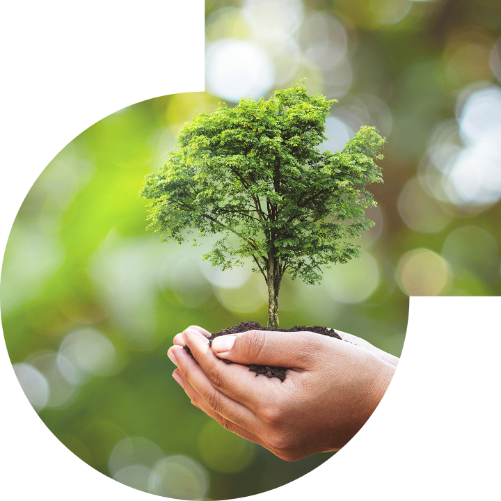 关怀人类、文化、环境与社会